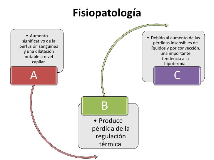 eritrodermia fisiopatologia